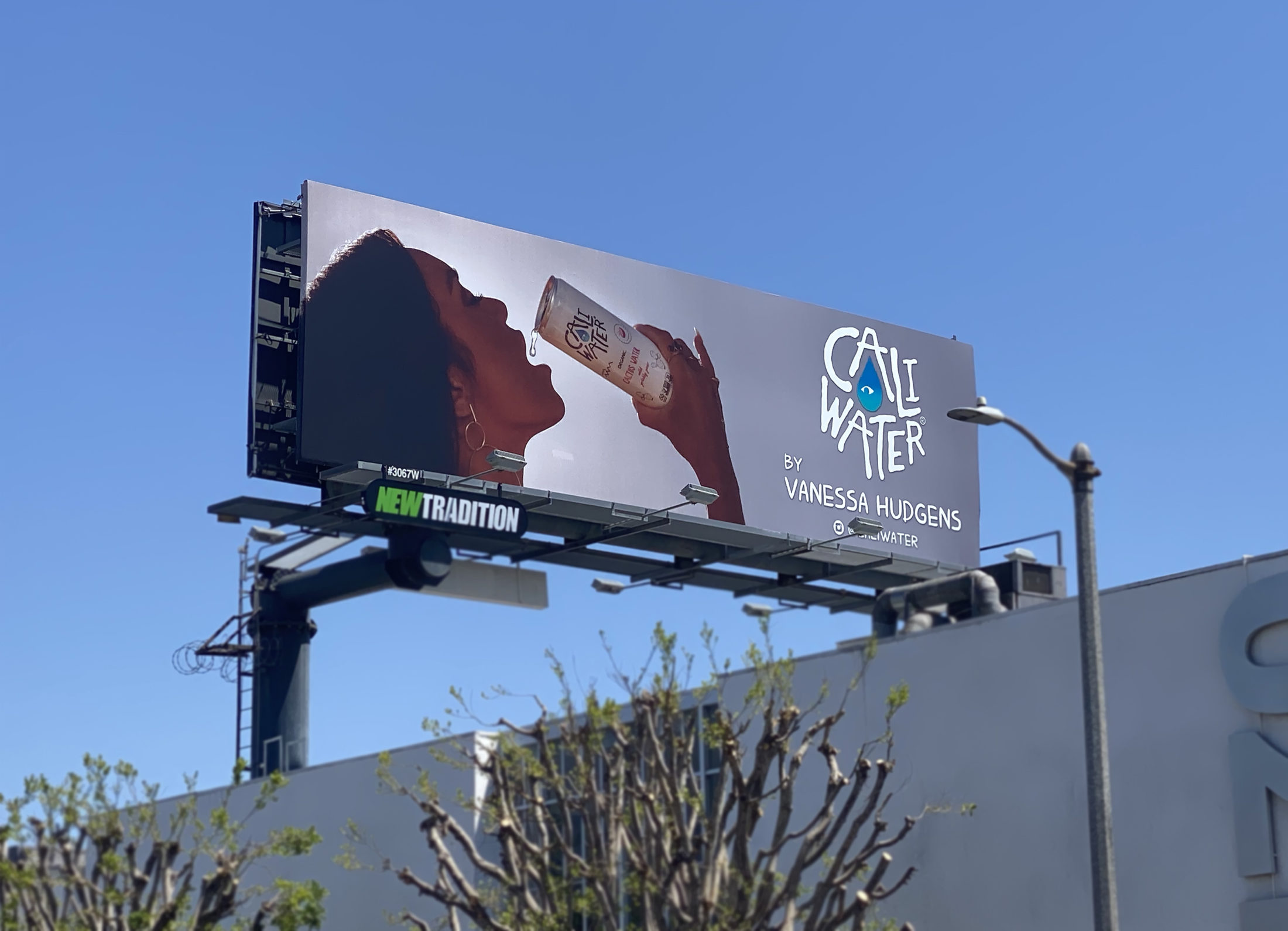 Billboard image of Caliwater Cactus Beverage featuring Vanessa Hudgens.