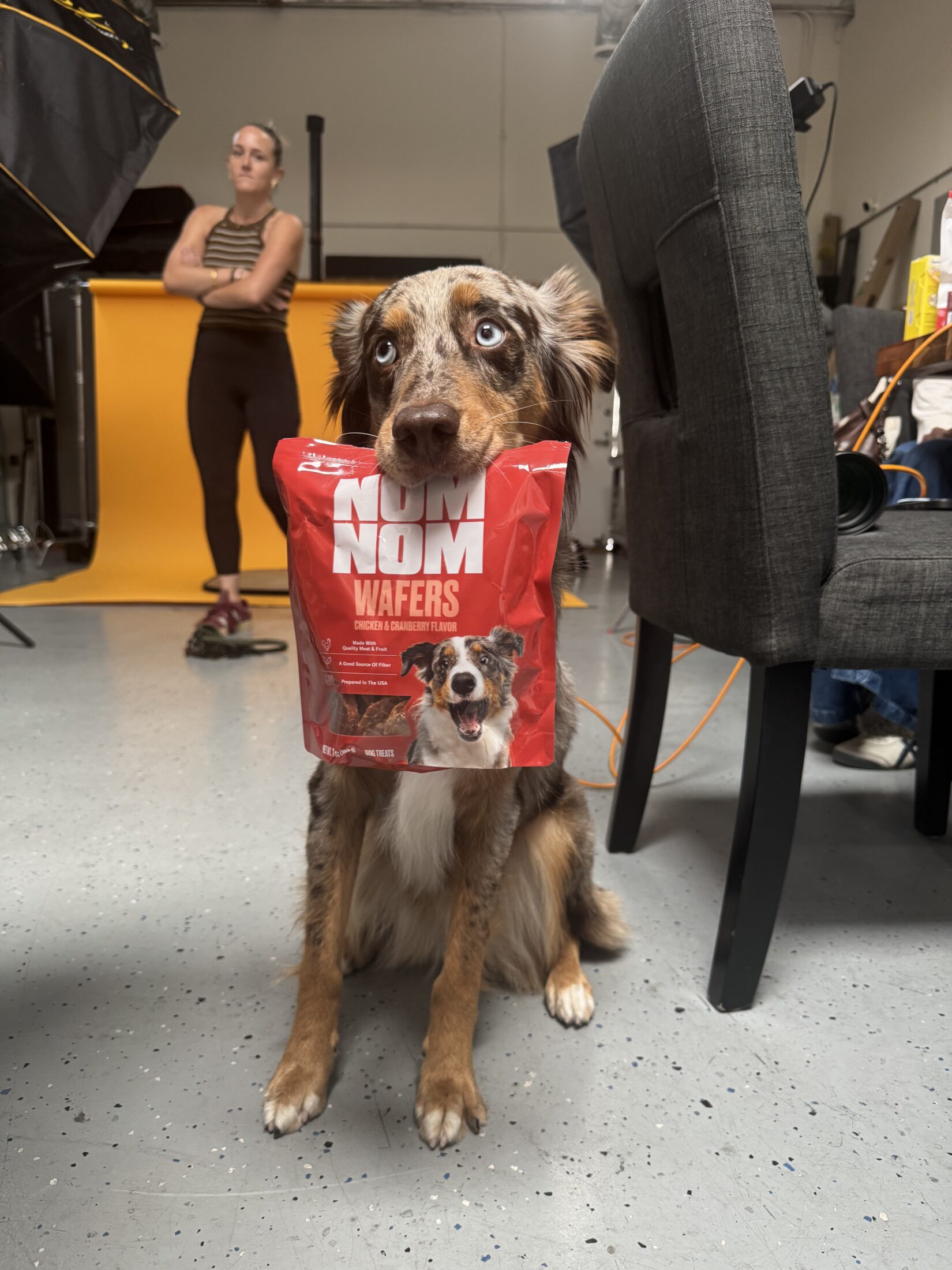 The Creative Pack's photoshoot for Nom Nom Scoopable Meal Clusters. Maple holding a bag of Nom Nom Wafer Treats.
